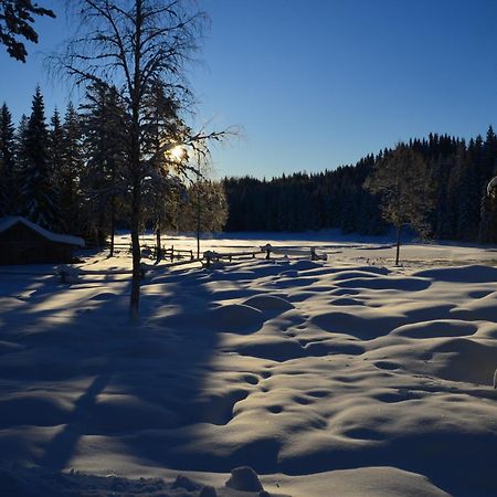 Willa The Old Logging Camp Yttermalung Zewnętrze zdjęcie