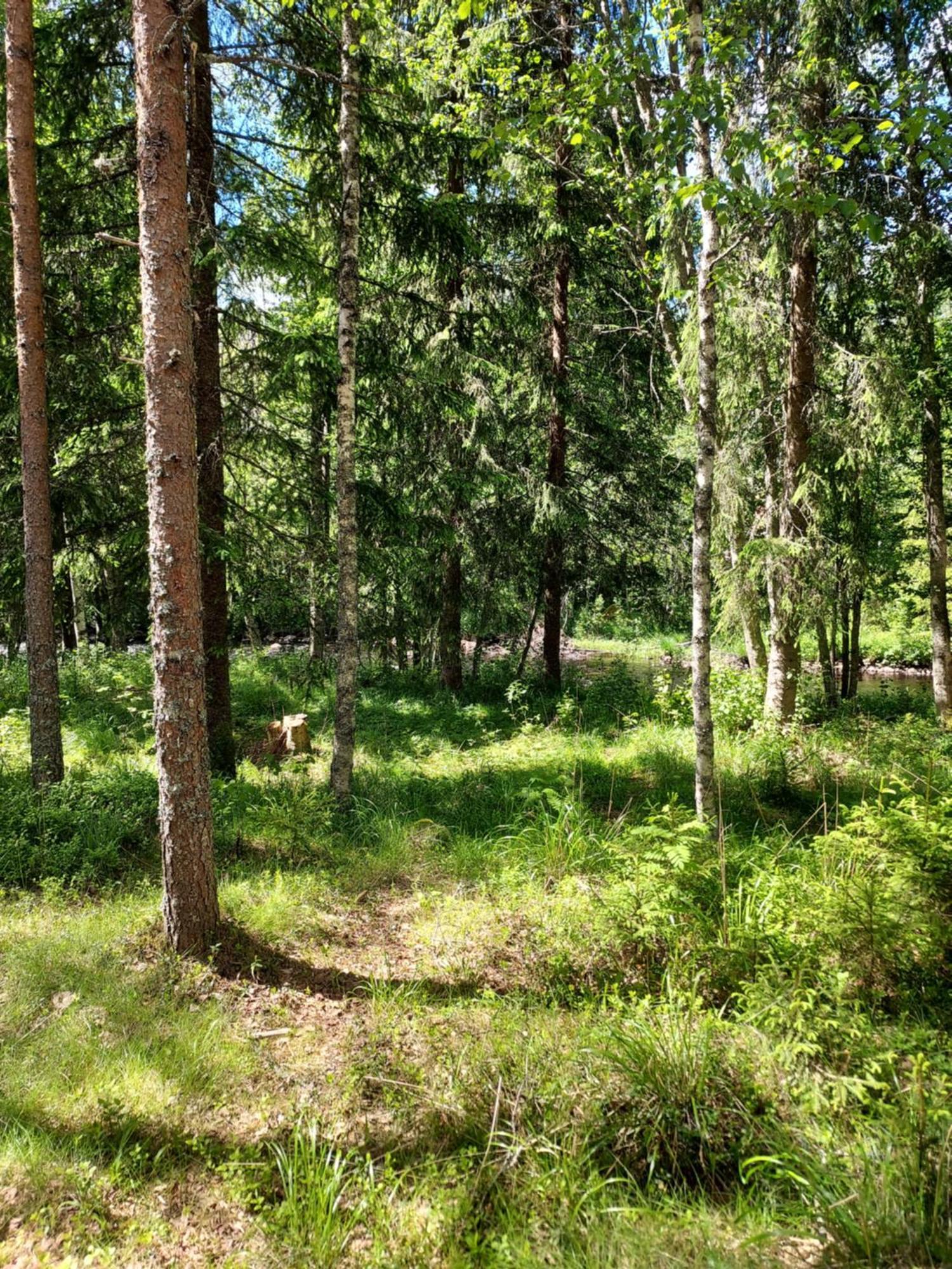 Willa The Old Logging Camp Yttermalung Zewnętrze zdjęcie
