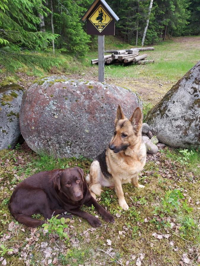 Willa The Old Logging Camp Yttermalung Zewnętrze zdjęcie