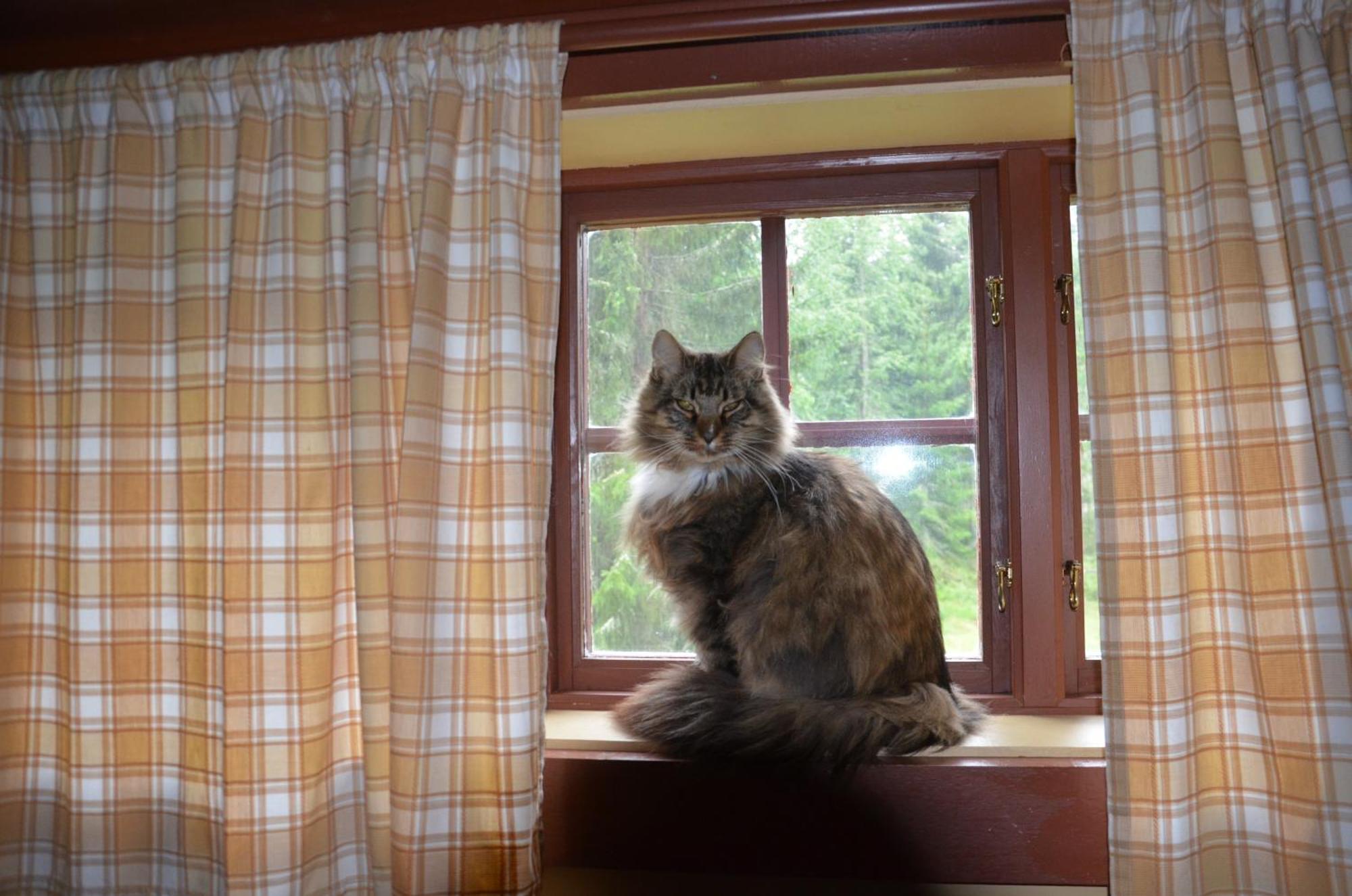 Willa The Old Logging Camp Yttermalung Zewnętrze zdjęcie